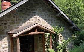 Woodland Cottage